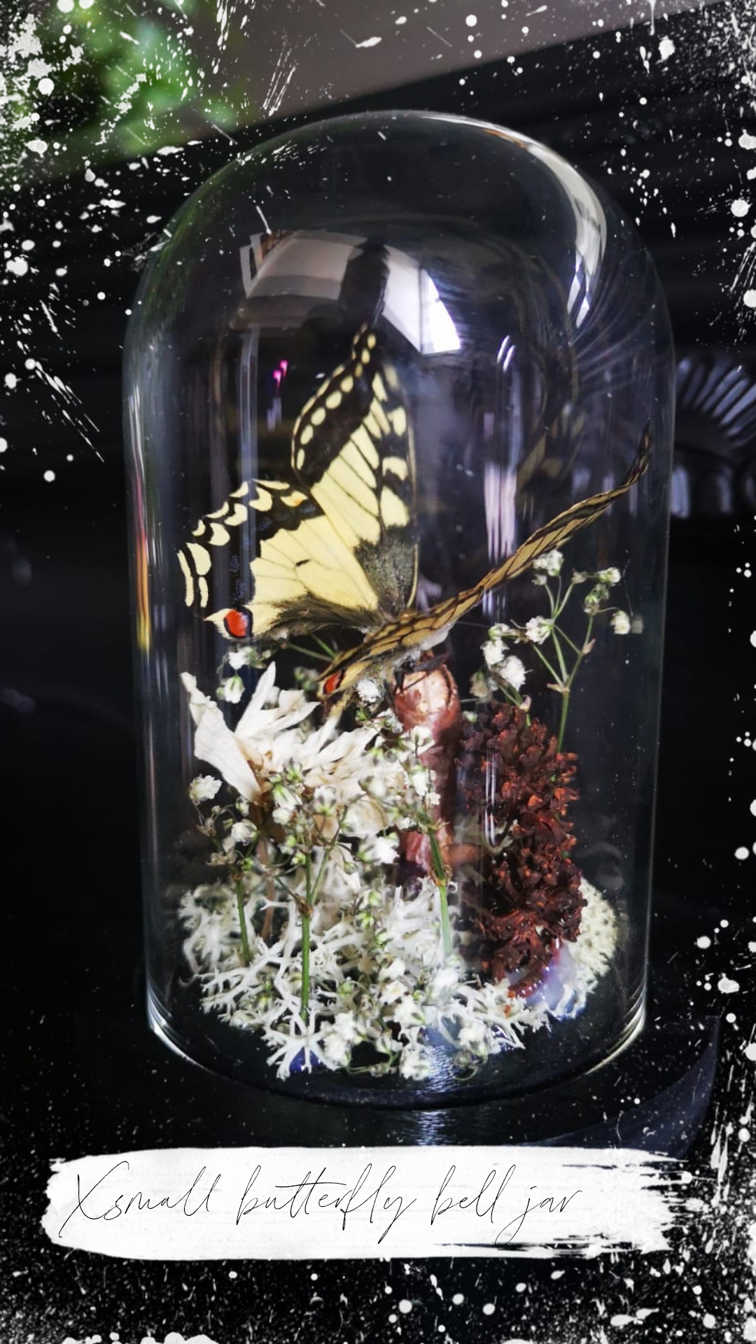 Yellow decorative bell jar — Moth Studios